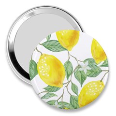 Fruit-2310212 3  Handbag Mirrors by lipli