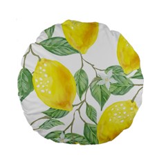 Fruit-2310212 Standard 15  Premium Round Cushions by lipli