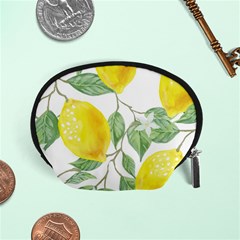 Fruit-2310212 Accessory Pouch (small) by lipli