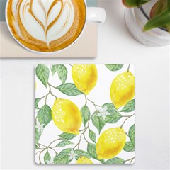 Fruit-2310212 Uv Print Square Tile Coaster  by lipli