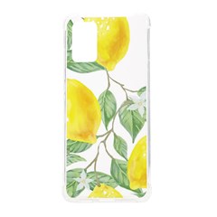 Fruit-2310212 Samsung Galaxy S20plus 6 7 Inch Tpu Uv Case by lipli