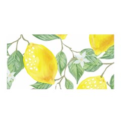 Fruit-2310212 Satin Wrap 35  X 70  by lipli