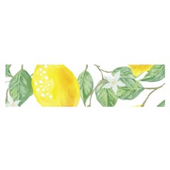 Fruit-2310212 Oblong Satin Scarf (16  X 60 ) by lipli