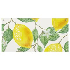 Fruit-2310212 Banner And Sign 4  X 2  by lipli