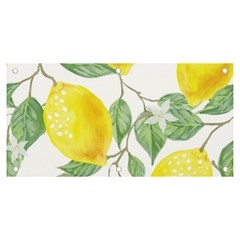 Fruit-2310212 Banner And Sign 6  X 3  by lipli