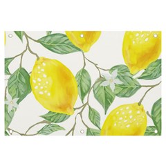 Fruit-2310212 Banner And Sign 6  X 4  by lipli