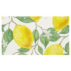 Fruit-2310212 Banner And Sign 7  X 4  by lipli