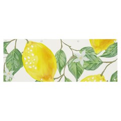 Fruit-2310212 Banner And Sign 8  X 3  by lipli