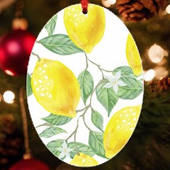 Fruit-2310212 Uv Print Acrylic Ornament Oval by lipli