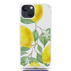 Fruit-2310212 Iphone 13 Tpu Uv Print Case by lipli