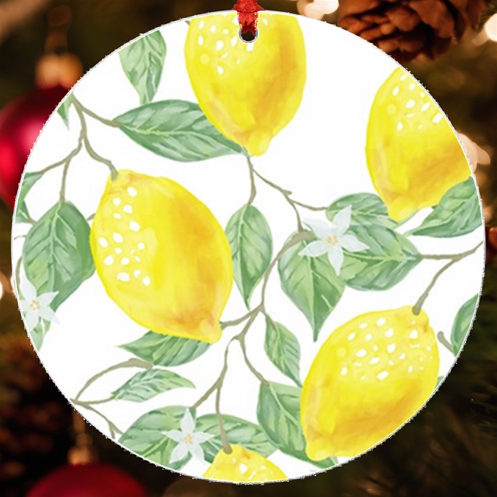 Fruit-2310212 UV Print Acrylic Ornament Round