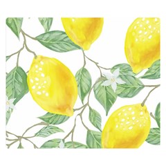 Fruit-2310212 Premium Plush Fleece Blanket (small) by lipli