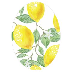 Fruit-2310212 Uv Print Acrylic Ornament Oval by lipli