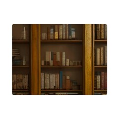 Books Book Shelf Shelves Knowledge Book Cover Gothic Old Ornate Library Premium Plush Fleece Blanket (mini) by Maspions