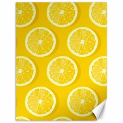 Lemon Fruits Slice Seamless Pattern Canvas 18  X 24  by Apen