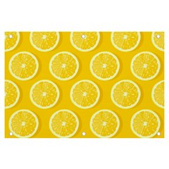 Lemon Fruits Slice Seamless Pattern Banner And Sign 6  X 4  by Apen