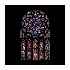 Chartres Cathedral Notre Dame De Paris Stained Glass Medium Glasses Cloth