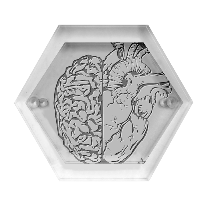 Brain Heart Balance Emotion Hexagon Wood Jewelry Box