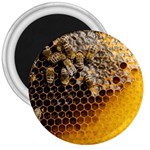 Honeycomb With Bees 3  Magnets Front