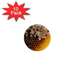 Honeycomb With Bees 1  Mini Magnet (10 Pack)  by Apen