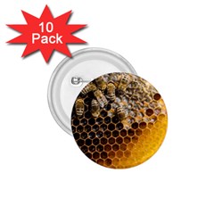 Honeycomb With Bees 1 75  Buttons (10 Pack) by Apen