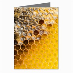 Honeycomb With Bees Greeting Card by Apen