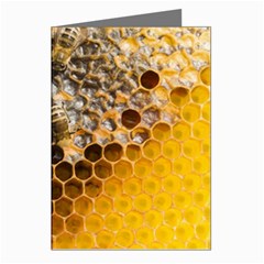 Honeycomb With Bees Greeting Cards (pkg Of 8) by Apen