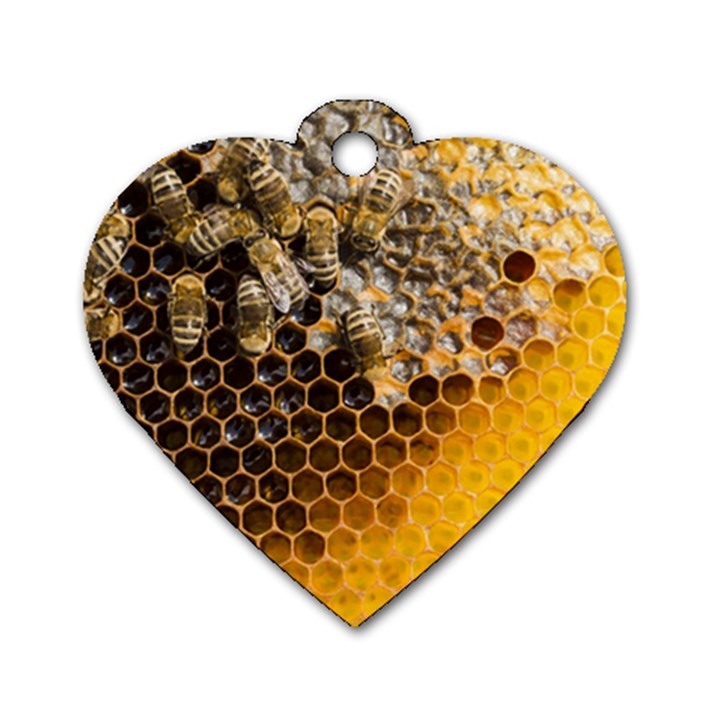 Honeycomb With Bees Dog Tag Heart (One Side)