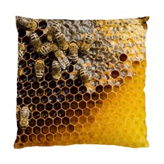 Honeycomb With Bees Standard Cushion Case (two Sides) by Apen