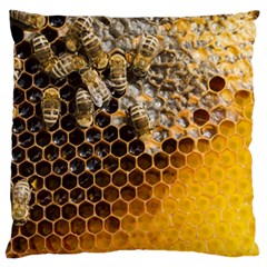 Honeycomb With Bees Large Cushion Case (one Side) by Apen