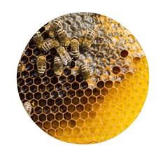 Honeycomb With Bees Mini Round Pill Box (pack Of 5) by Apen