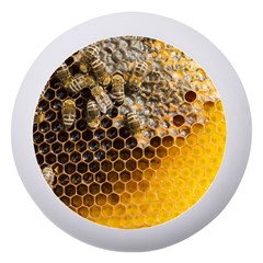 Honeycomb With Bees Dento Box With Mirror by Apen