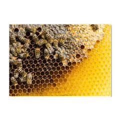 Honeycomb With Bees Crystal Sticker (a4) by Apen