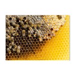 Honeycomb With Bees Crystal Sticker (A4) Front