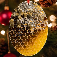 Honeycomb With Bees Uv Print Acrylic Ornament Oval by Apen