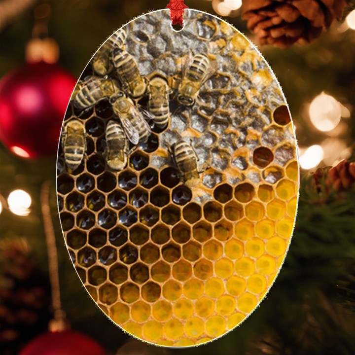 Honeycomb With Bees UV Print Acrylic Ornament Oval