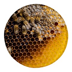 Honeycomb With Bees Round Glass Fridge Magnet (4 Pack) by Apen