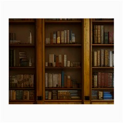 Books Book Shelf Shelves Knowledge Book Cover Gothic Old Ornate Library Small Glasses Cloth