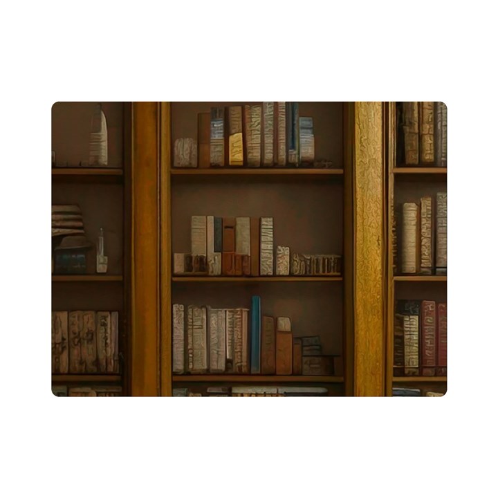 Books Book Shelf Shelves Knowledge Book Cover Gothic Old Ornate Library Premium Plush Fleece Blanket (Mini)