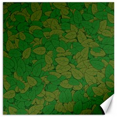 Vectors Leaves Background Plant Canvas 12  X 12  by Askadina