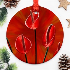 Flowers Red Ornament (round) by Askadina