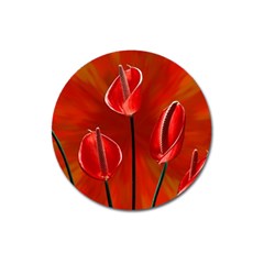 Flowers Red Magnet 3  (round) by Askadina