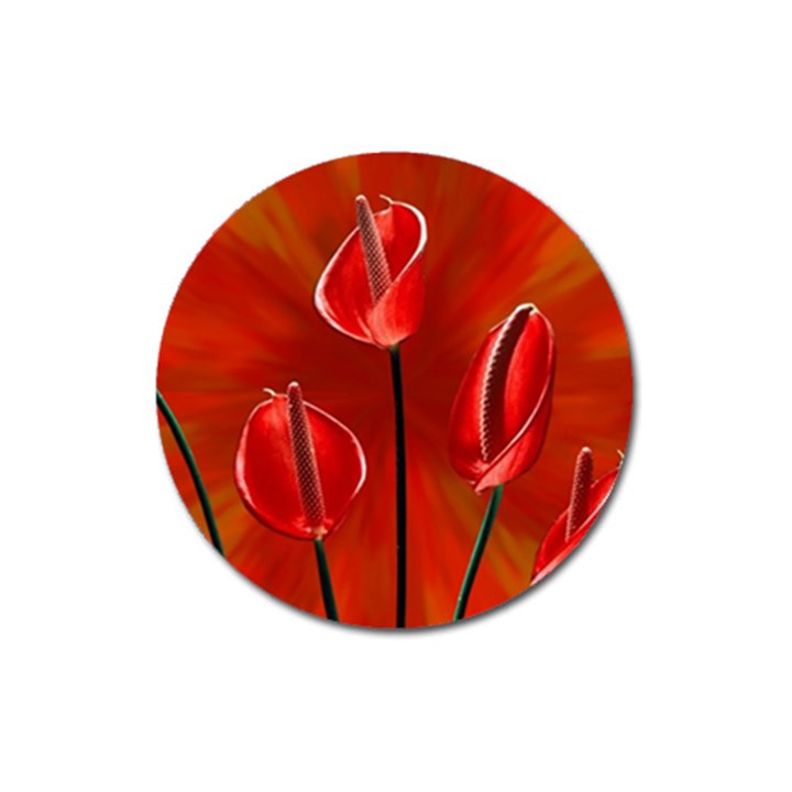 Flowers Red Magnet 3  (Round)