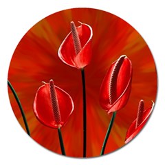 Flowers Red Magnet 5  (round) by Askadina