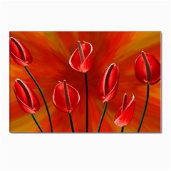 Flowers Red Postcards 5  X 7  (pkg Of 10) by Askadina