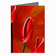 Flowers Red Greeting Cards (pkg Of 8)