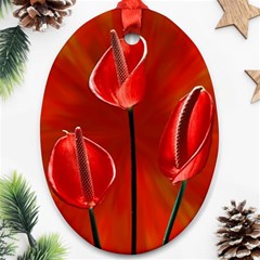 Flowers Red Oval Ornament (two Sides)