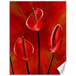 Flowers Red Canvas 12  x 16  11.86 x15.41  Canvas - 1