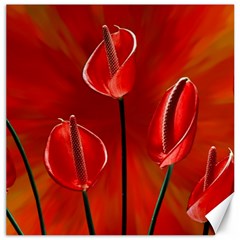 Flowers Red Canvas 16  X 16  by Askadina