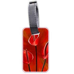 Flowers Red Luggage Tag (two Sides) by Askadina